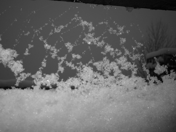 596 :: Stress Test
